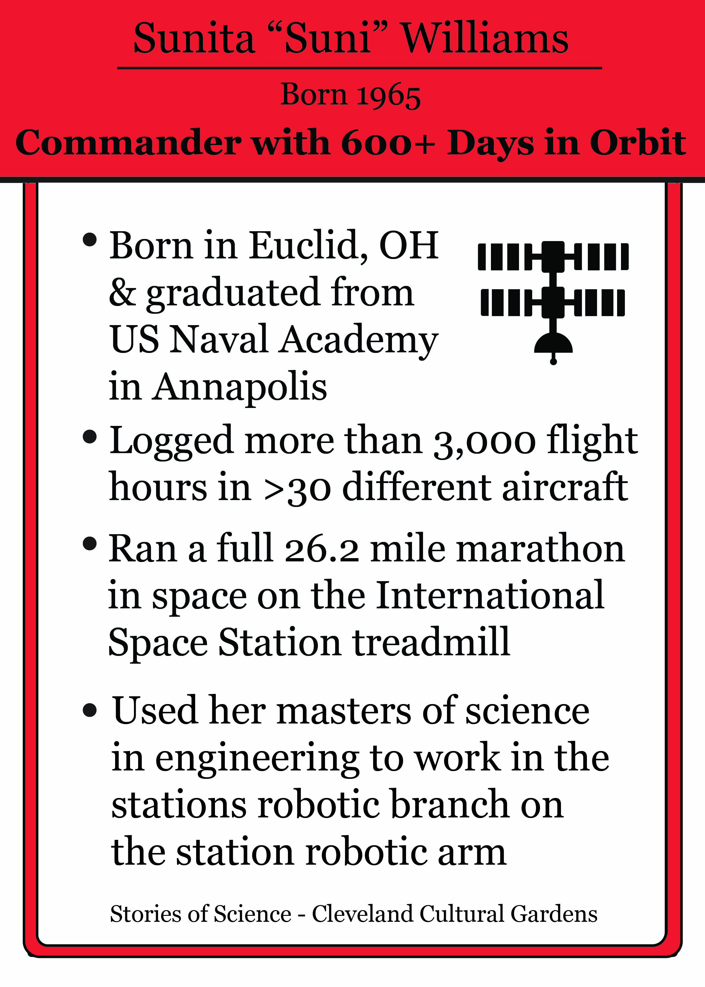 Slovenian American Card Rear